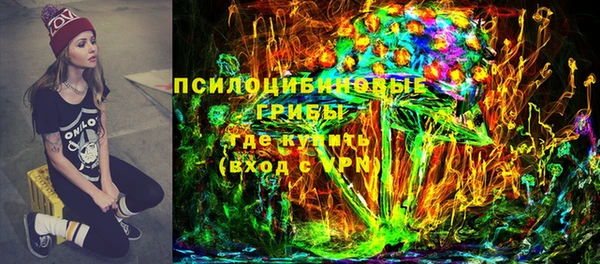 твердый Алексеевка