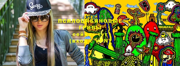 твердый Алексеевка