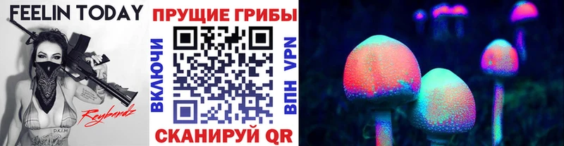 Галлюциногенные грибы MAGIC MUSHROOMS  продажа наркотиков  Жуковский 